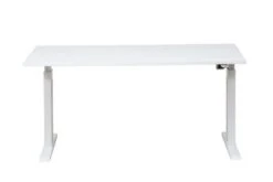 PROREGAL Elektrisch Höhenverstellbarer Schreibtisch Zebra | HxBxT 70-116x160x80 Cm | Weiß-Buche -VIDAXL Shop 0616ff11 ac61 42ba 9185 86e46d8299bc 1