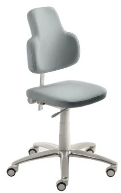 Mayer Sitzmöbel, Arbeitsdrehhocker Mit Rückenbügel 1254, Kristallgrau, 1254_61_30584 -VIDAXL Shop fc0528dd 072e 4a93 aebc 5304e9bf5ee0